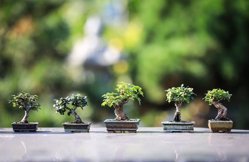 Kids gardening